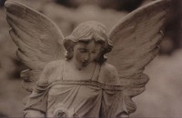 /album/ag%c3%aancia-funeraria-nossa-senhora-de-fatima/img-2931-jpg/